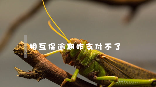 相互保逾期咋支付不了