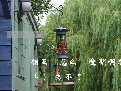 相互寶怎么還逾期啊(相互寶逾期怎么補(bǔ)交不了)