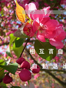 相互寶自動退出怎么刪除逾期記錄-相互寶自動退出怎么刪除逾期記錄呢