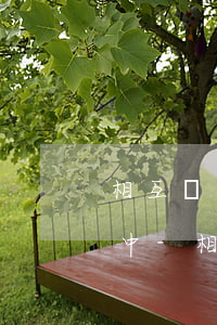 相互寶逾期已守約怎么顯示進(jìn)行中-相互寶逾期待守約怎么解決