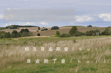 相互寶逾期會(huì)怎么樣（為什么支付寶逾期了會(huì)影響相互寶）