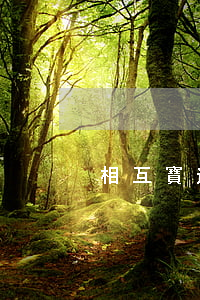 相互寶逾期為啥還不了(相互寶怎么逾期了)