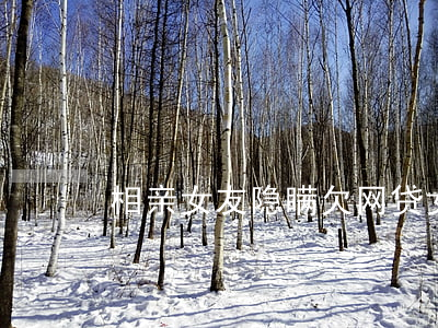 相亲女友隐瞒欠网贷(女朋友网贷瞒着我)
