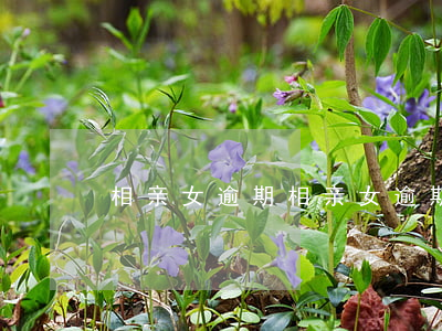 相亲女逾期 相亲女逾期