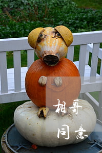 相哥華夏信用卡協(xié)商(華夏銀行不同意協(xié)商,只讓第三方催收回電話協(xié)商)
