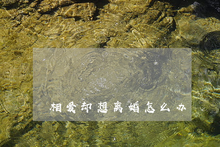 相爱却想离婚怎么办