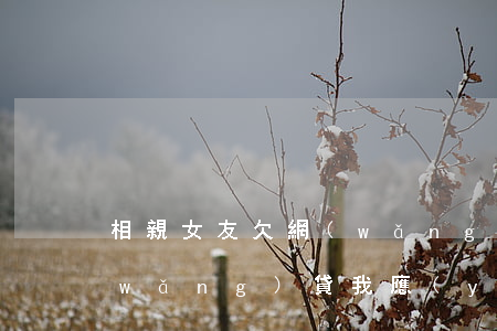 相親女友欠網(wǎng)貸(女朋友欠網(wǎng)貸,我應(yīng)不應(yīng)該還)