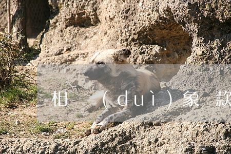 相親對(duì)象貸款還不起