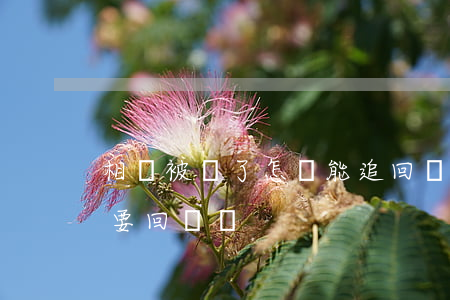 相親被騙了怎樣能追回錢(相親被騙了錢可以要回來嗎)