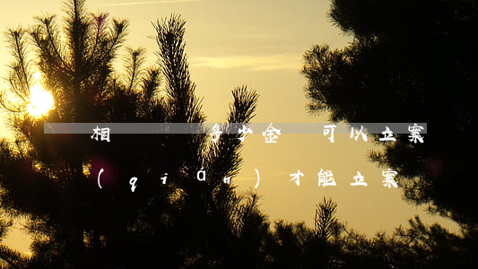 相親詐騙多少金額可以立案(詐騙案要多少錢(qián)才能立案)