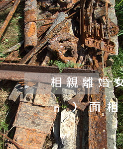 相親離婚女談兩個(gè)月不見(jiàn)面(相親兩個(gè)月了談不上喜歡)