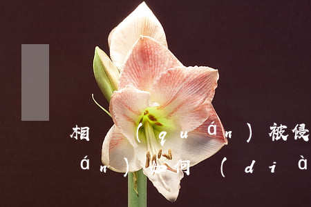 相鄰權(quán)被侵犯怎么維權(quán)，如何調(diào)解
