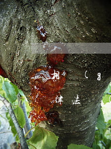 相關(guān)人員醫(yī)療器械法律法規(guī)(醫(yī)療器械的法律法規(guī)都有哪些)