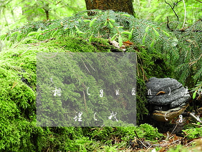 相關(guān)法律法規(guī)垃圾處理(我國關(guān)于垃圾的法律法規(guī)有哪些)
