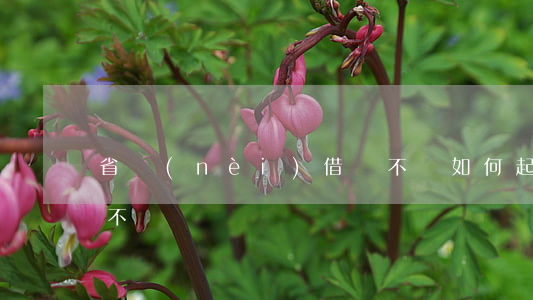 省內(nèi)借錢不還如何起訴(跨省借錢不還)