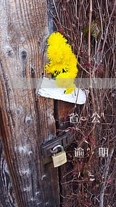 省公積貸款信用卡逾期二次(住房公積金貸款逾期兩次)