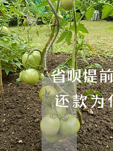省呗提前还款为什么借不出来了-省呗提前还款为什么借不出来了呢