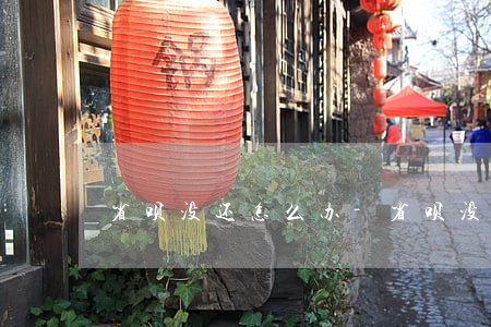 省呗没还怎么办-省呗没有钱还怎么办