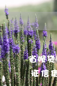 省呗贷款逾期几天上征信(支付宝逾期多久上征信?借呗逾期几天上征信)