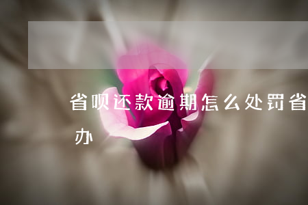 省呗还款逾期怎么处罚(省呗还款还不了怎么办)