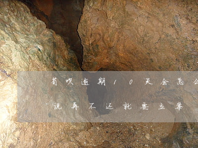 省呗逾期10天会怎么样(省呗逾期20天,他说再不还就要立案)