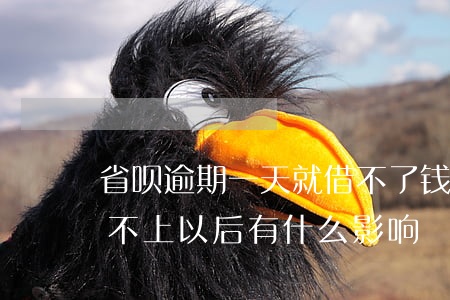 省呗逾期一天就借不了钱了(省呗借钱逾期还不上以后有什么影响?)