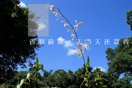 省呗逾期一天当天还款(省呗还款能拖几天)