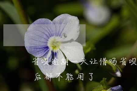 省呗逾期一天让借吗(省呗逾期一天是不是以后都不能用了?)