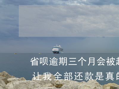 省呗逾期三个月会被起诉吗(省呗逾期一个月让我全部还款是真的吗)