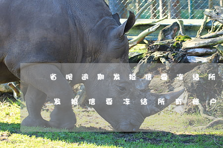 省呗逾期发短信要冻结所有账户-省呗逾期发短信要冻结所有账户吗