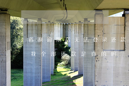 省呗逾期后无法登录还款(省呗逾期一个月让我全部还款是真的吗)