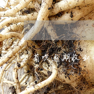 省呗逾期收到律师信(省呗发律师函是真的吗)