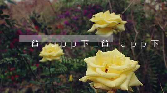 省唄app下載(省唄app下載安裝)