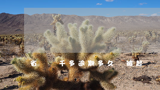 省唄兩千多逾期多久會被起訴
