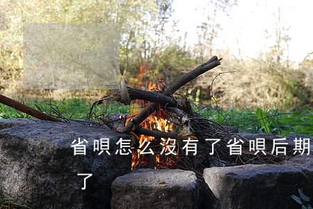 省唄怎么沒有了 省唄后期為什么沒辦法借款了