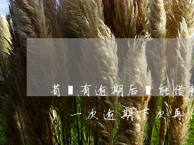 省唄有逾期后還能借款嗎(省唄有過(guò)一次逾期下次再借是不是就借不到了)