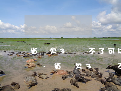 省唄欠3萬還不了可以協(xié)商還款嗎-省唄欠3萬還不了可以協(xié)商還款嗎怎么辦