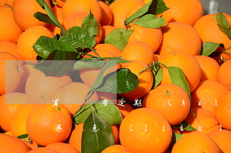 省唄沒有逾期會(huì)聯(lián)系緊急聯(lián)系人嗎-省唄沒有逾期會(huì)聯(lián)系緊急聯(lián)系人嗎安全嗎