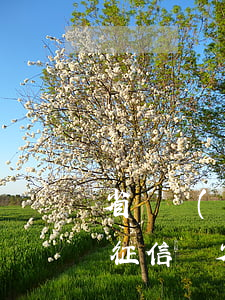 省唄網(wǎng)貸逾期會(huì)上征信嗎(省唄會(huì)不會(huì)查征信)