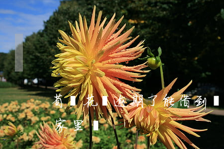 省唄花唄逾期了能借到嗎(省唄借款不還會來家里嗎)