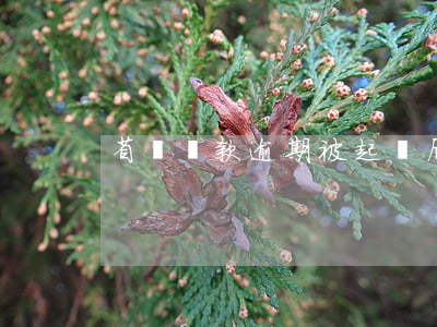 省唄貸款逾期被起訴后會(huì)怎么樣