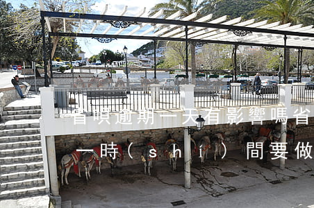 省唄逾期一天有影響嗎(省唄逾期了怎么辦?第一時(shí)間要做的是這件事!)