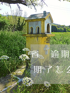 省唄逾期了確實無力償還會怎么樣-省唄逾期了怎么辦?第一時間要做的是這件事!