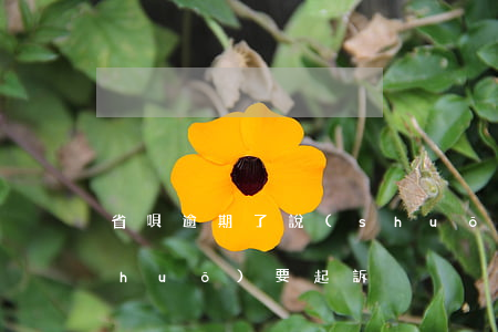 省唄逾期了說(shuō)起訴(省唄說(shuō)要起訴)