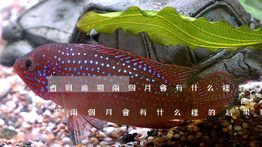 省唄逾期兩個月會有什么樣的后果-省唄逾期兩個月會有什么樣的后果嗎