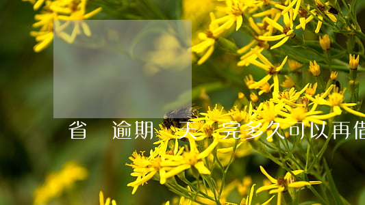省唄逾期兩天還完多久可以再借-