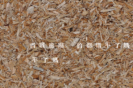 省唄逾期別的都借不了嗎(省唄逾期別的都借不了嗎)
