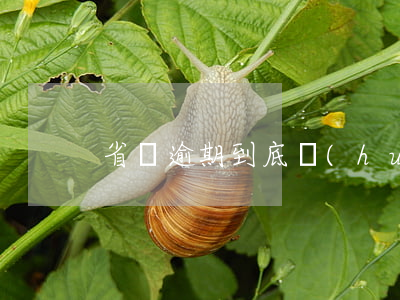省唄逾期到底會(huì)怎樣