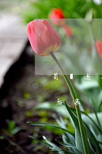 省唄逾期后還款不扣(省唄推遲一天還款什么后果)