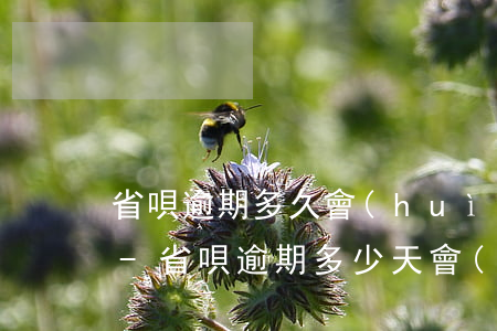 省唄逾期多久會(huì)被起訴或者走訪-省唄逾期多少天會(huì)起訴,我已經(jīng)還了2000多